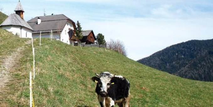 Berggasthof Trattes Olang Экстерьер фото